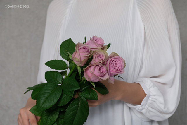 プロポーズに適した花言葉を持つバラの色