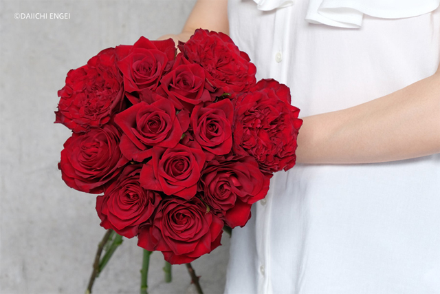 プロポーズに花束を 贈る花や本数の選び方 気を付けたいこと セキララゼクシィ