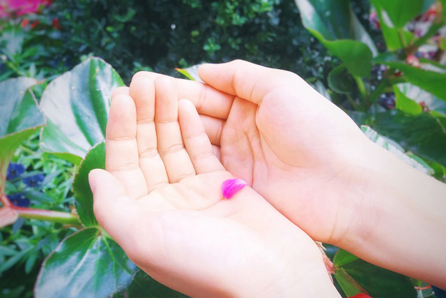 葊肢̊{IƉEňӖقȂ