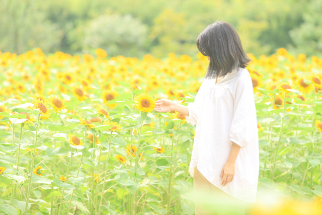 清楚な女性は魅力がいっぱい！