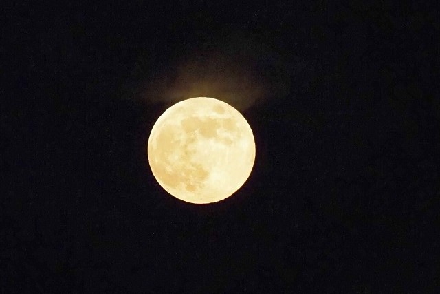 11月の満月「ビーバームーン」とは?2025年の観測時期