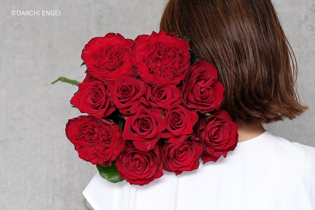 【本数別】バラ（薔薇）の花言葉