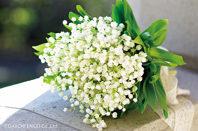 季節別 幸せの花言葉18選 結婚式やお祝いに喜ばれる花は セキララ ゼクシィ