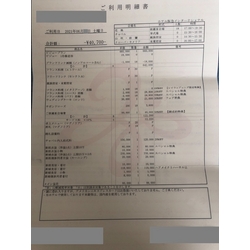 費用明細1