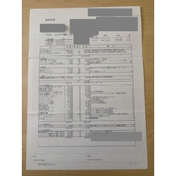 費用明細1