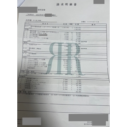 費用明細1