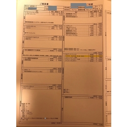費用明細1