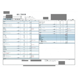 費用明細1
