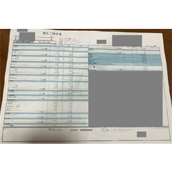 費用明細1