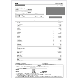 費用明細1