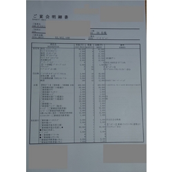 費用明細2