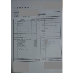 費用明細3