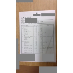 費用明細1