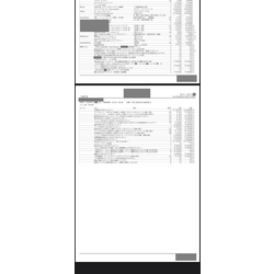 費用明細3