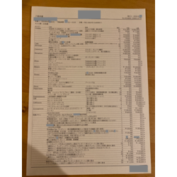 費用明細2