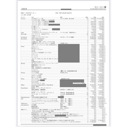 費用明細2