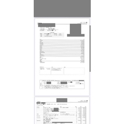 費用明細1