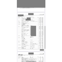 費用明細2