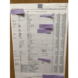 費用明細2