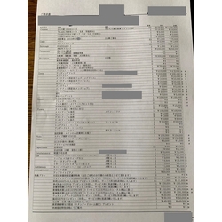 費用明細1