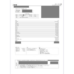 費用明細1