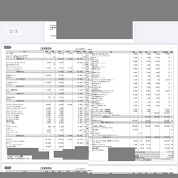 費用明細1