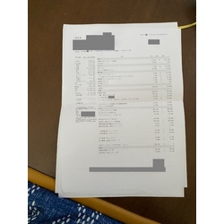 費用明細1