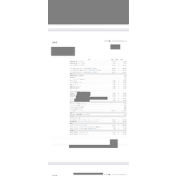 費用明細2