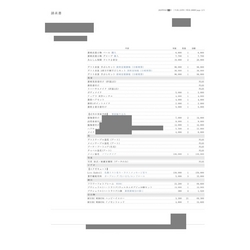 費用明細2
