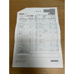 費用明細1