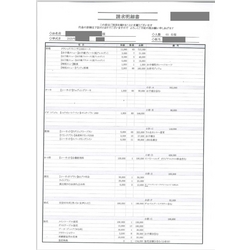 費用明細1