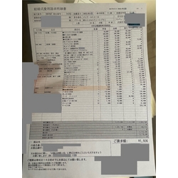 費用明細1