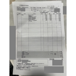 費用明細2
