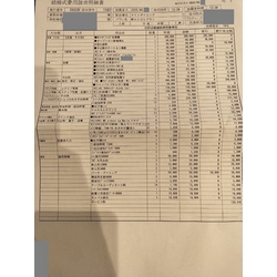 費用明細1