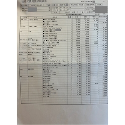 費用明細1