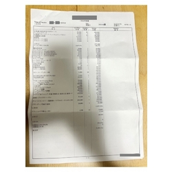 費用明細1
