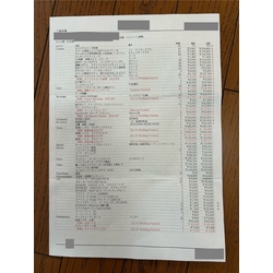 費用明細1