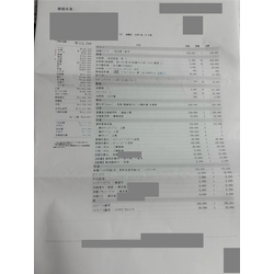 費用明細1
