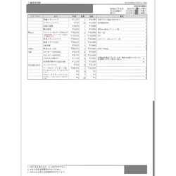費用明細3