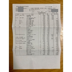費用明細1