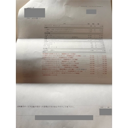費用明細2