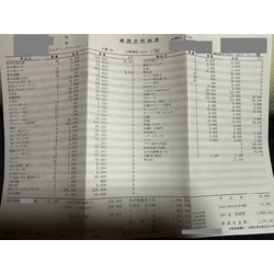 費用明細1