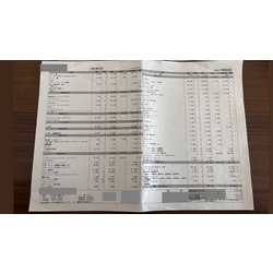 費用明細1
