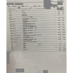 費用明細3