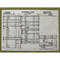 費用明細1
