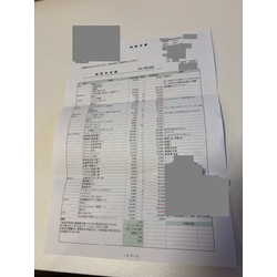 費用明細1