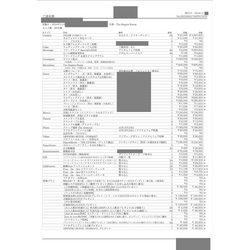 費用明細1