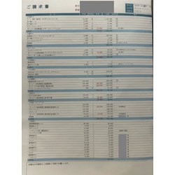 費用明細1