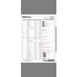 費用明細1