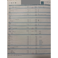費用明細1